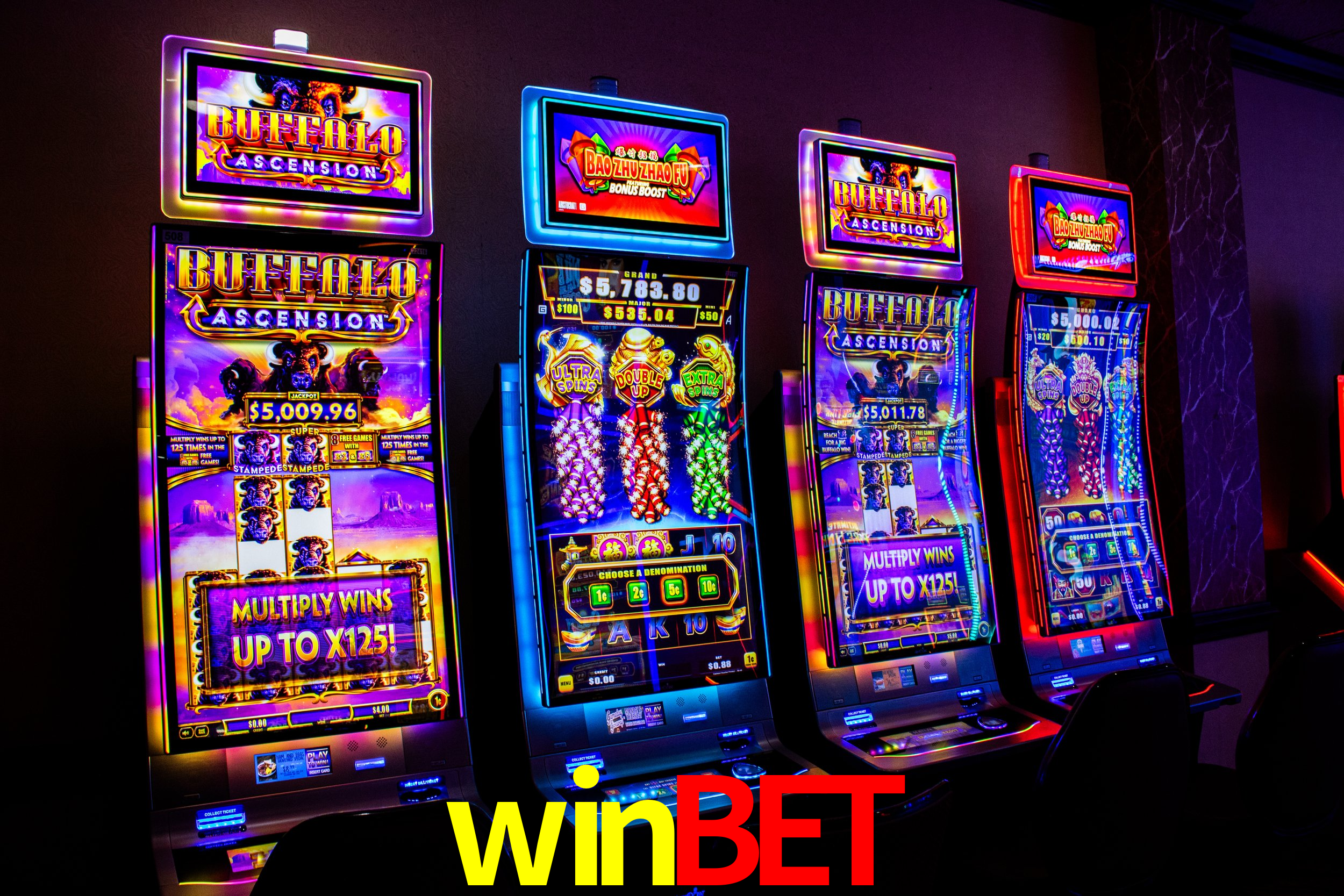 Player Reviews winbet